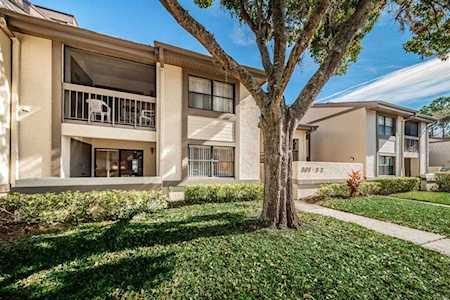 311 Woodlake Wynde #3 Oldsmar, FL 34677