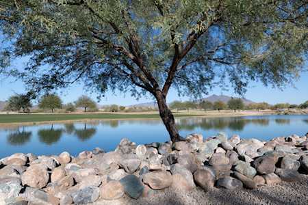 33575 N Dove Lakes Drive #2047 Cave Creek, AZ 85331
