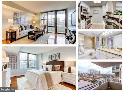 11800 Sunset Hills Rd #225 Reston, VA 20190