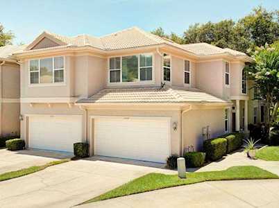 1648 Fieldfare Ct Dunedin, FL 34698