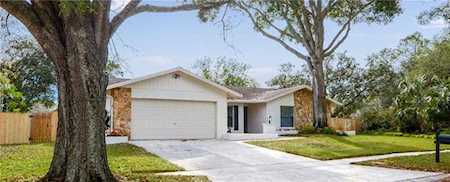14042 Wolcott Dr Tampa, FL 33624
