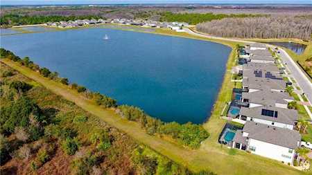 18564 Roseate Dr Lutz, FL 33558