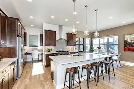 10424 Maplebrook Way Highlands Ranch, CO 80126