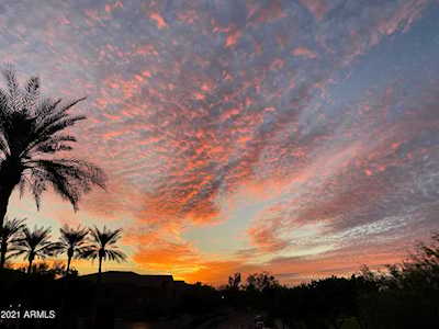 3131 E Legacy Drive #1084 Phoenix, AZ 85042