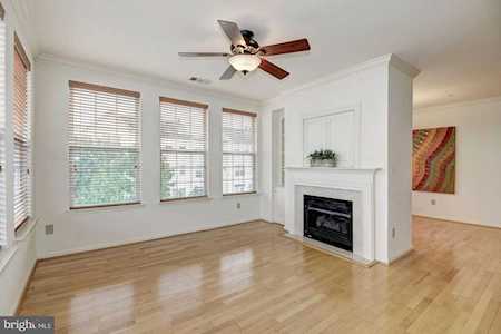 4950 Brenman Park Dr #304 Alexandria, VA 22304