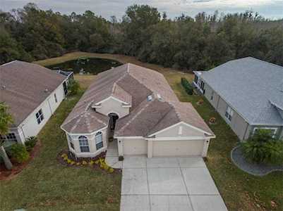 9250 Edistro PLACE New Port Richey, FL 34654