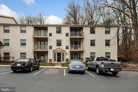 5900C Prince George Dr #331 Springfield, VA 22152
