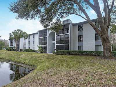 1372 Pine Ridge CIRCLE E #C3 Tarpon Springs, FL 34688