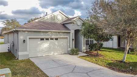 8130 Pea Tree Ct Trinity, FL 34655