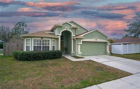 1229 Timber Trace Dr Wesley Chapel, FL 33543