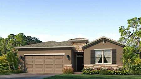 13329 Waterleaf Garden CIRCLE Riverview, FL 33579