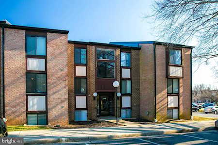 3117 Buccaneer Ct #101 Fairfax, VA 22031