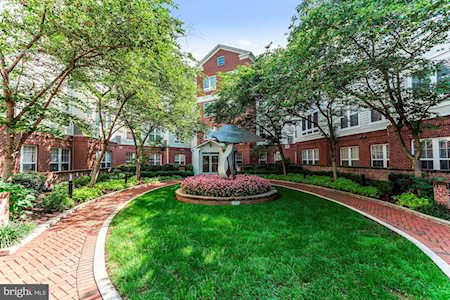 801 Greenbrier St #411 Arlington, VA 22204