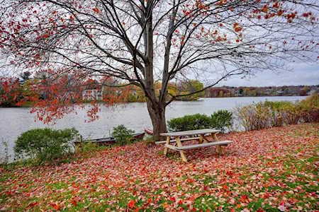 18 Hamilton Road #208 Arlington, MA 02474