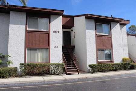 1577 Greenlea Dr #7 Clearwater, FL 33755