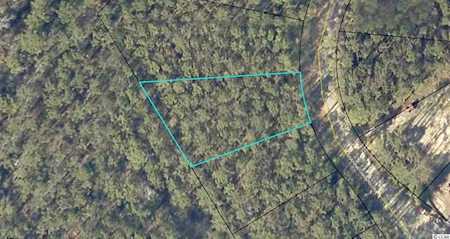 133 Joanna Gillard Ln. Georgetown, SC 29440