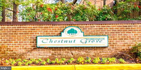 11232 Chestnut Grove Square #334 Reston, VA 20190