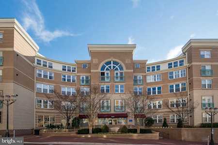 12001 Market St #318 Reston, VA 20190
