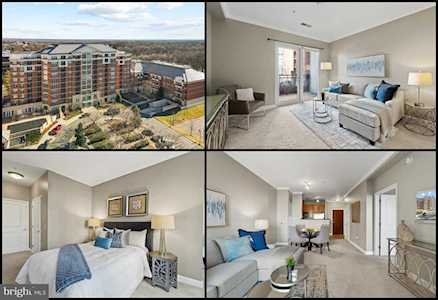 11770 Sunrise Valley Dr #224 Reston, VA 20191