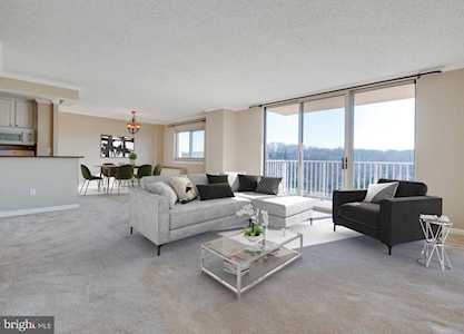 1225 Martha Custis Dr Alexandria, VA 22302