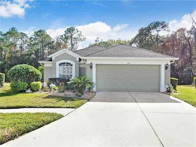 5147 Gato Del Sol CIRCLE Wesley Chapel, FL 33544