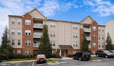 7250 Darby Downs #E Elkridge, MD 21075