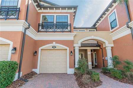 1966 Milkweed TRACE Lutz, FL 33558