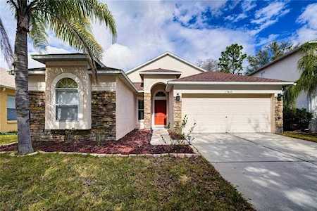 15647 Leatherleaf Ln Land O Lakes, FL 34638