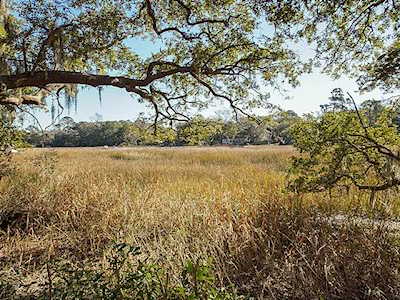 1174 Village Creek Ln Mount Pleasant, SC 29464