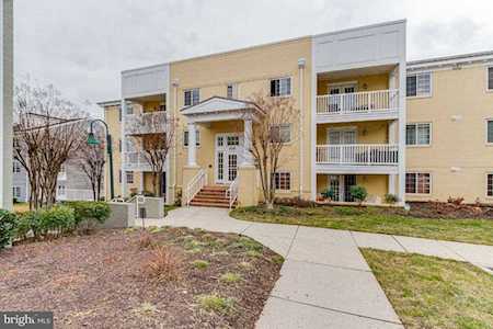 4165 Four Mile Run Dr #103 Arlington, VA 22204