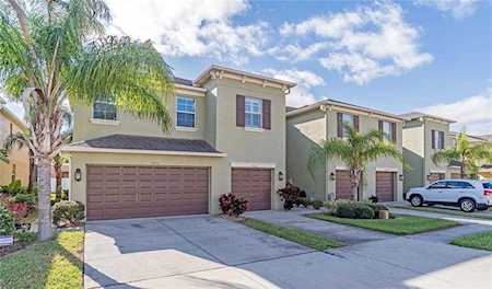 9568 Trumpet Vine LOOP Trinity, FL 34655