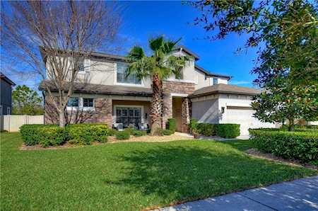 8450 Bluevine Sky Dr Land O Lakes, FL 34637
