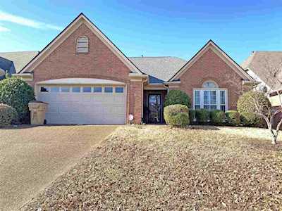 1517 S Applingwood Cv Cordova, TN 38016