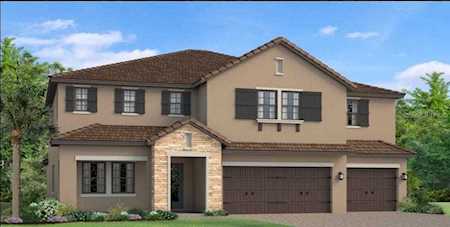 18201 Leafmore St Lutz, FL 33548