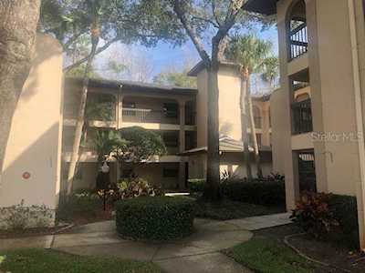 3399 Mermoor Dr #305 Palm Harbor, FL 34685