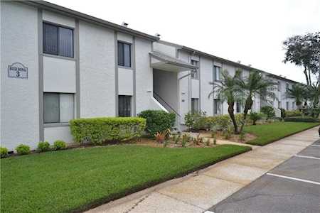 268 Cypress Ln #268 Oldsmar, FL 34677
