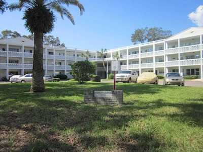 2020 World Parkway Blvd #50 Clearwater, FL 33763