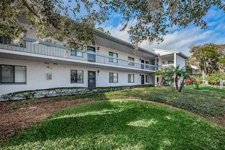211 Martha Ln #211 Oldsmar, FL 34677