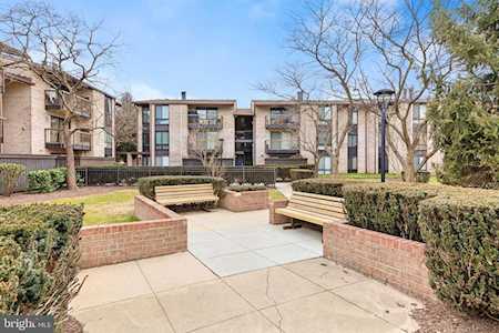 10008 Stedwick Rd #303 Montgomery Village, MD 20886