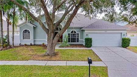 10015 Colonnade Dr Tampa, FL 33647