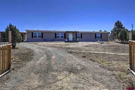 290 South Ridge Cir Bayfield, CO 81122