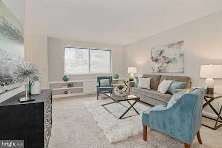 3515 Washington Blvd #201 Arlington, VA 22201