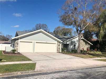 3961 Belmoor Dr Palm Harbor, FL 34685