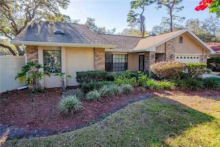 1013 Knollwood Ct Safety Harbor, FL 34695