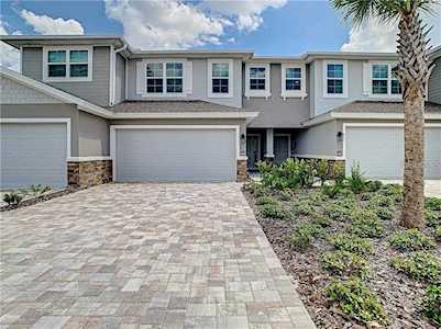 5364 Riverwalk Preserve Dr New Port Richey, FL 34653