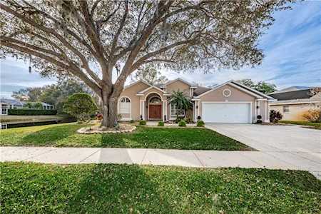 1812 Kinsmere Dr Trinity, FL 34655