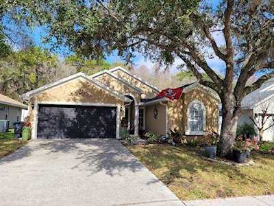329 Tavernier Dr Oldsmar, FL 34677