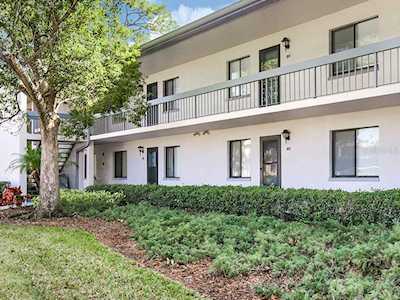 116 Martha Ln #16 Oldsmar, FL 34677