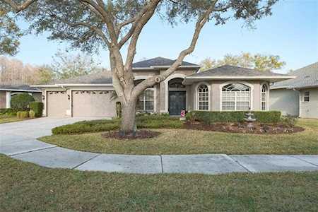 909 Wyngate Ct Safety Harbor, FL 34695