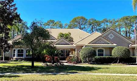 3852 Ambassador Dr Palm Harbor, FL 34685